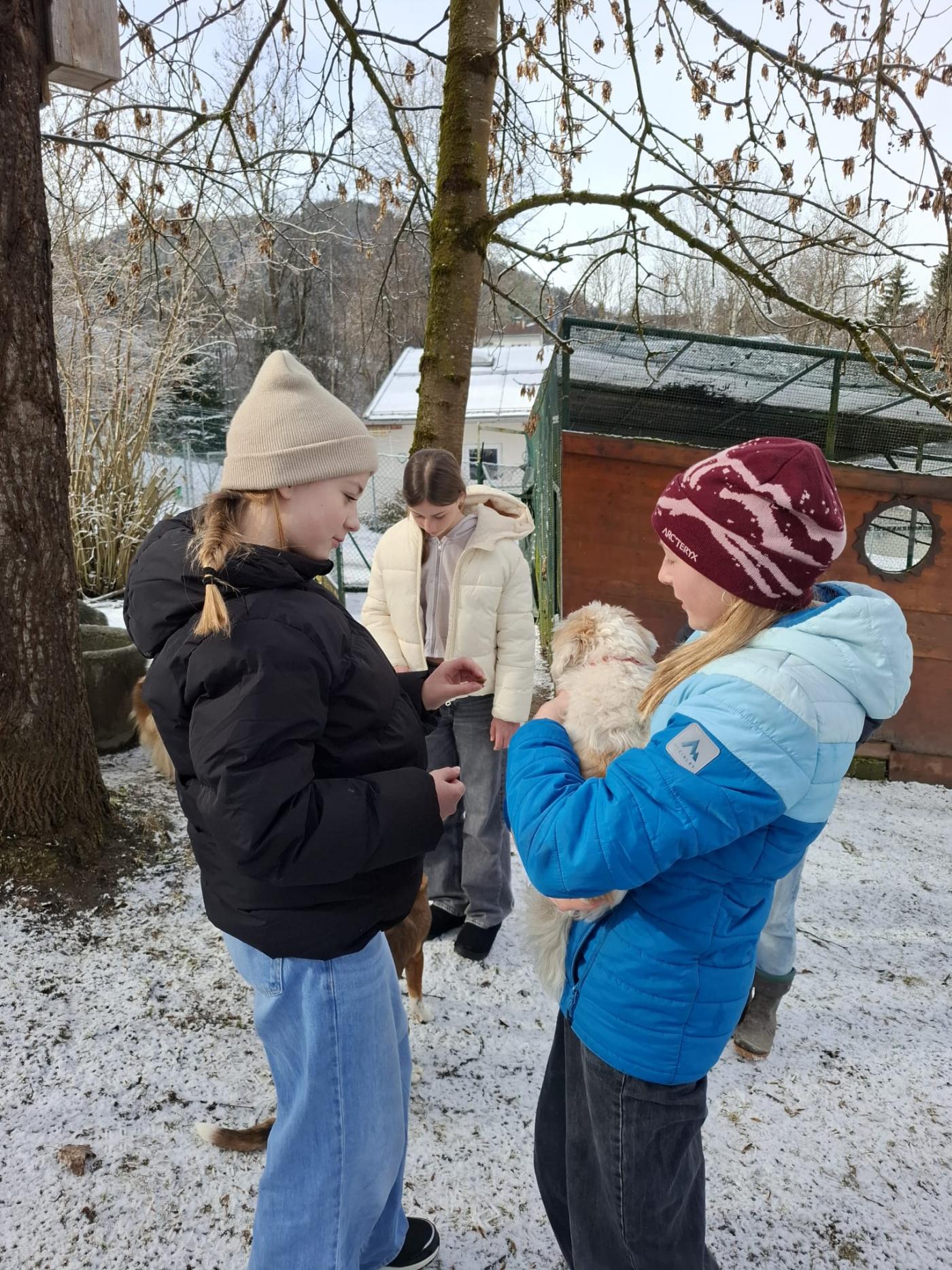 Besuch im Tierheim