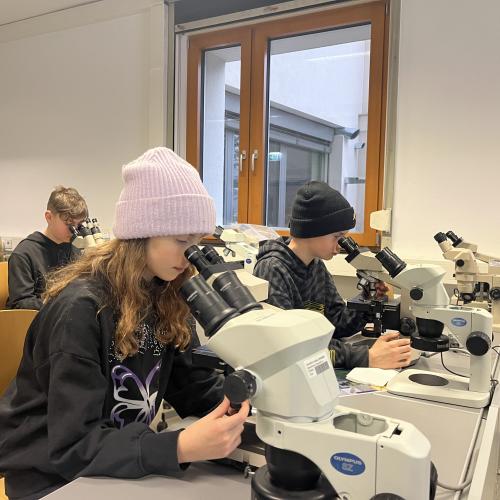 Workshop Mikroskopie