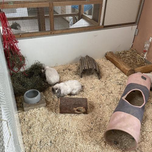 Spendenaktion Tierheim Mentlberg