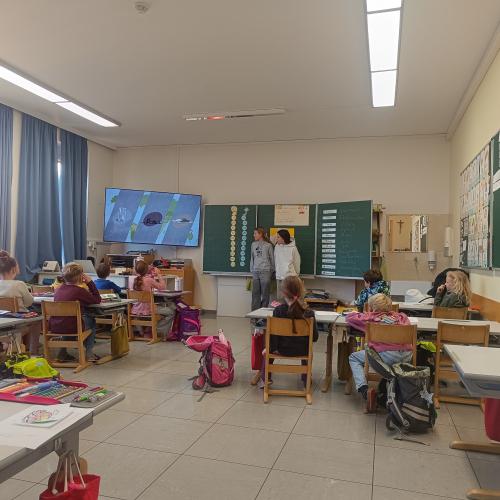 Klimawandel Volksschule