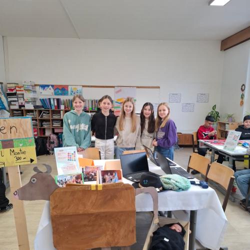 FREI DAY Zwischenpräsentationen